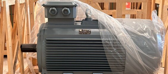 315 kw 1500 devir Elektrik Motoru Fiyatları