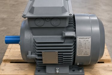 3 kW 1500 Devir Elektrik Motoru Fiyatları