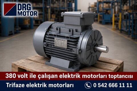 E88F6C22-EBDE-43BE-8DEA-48386F78F351