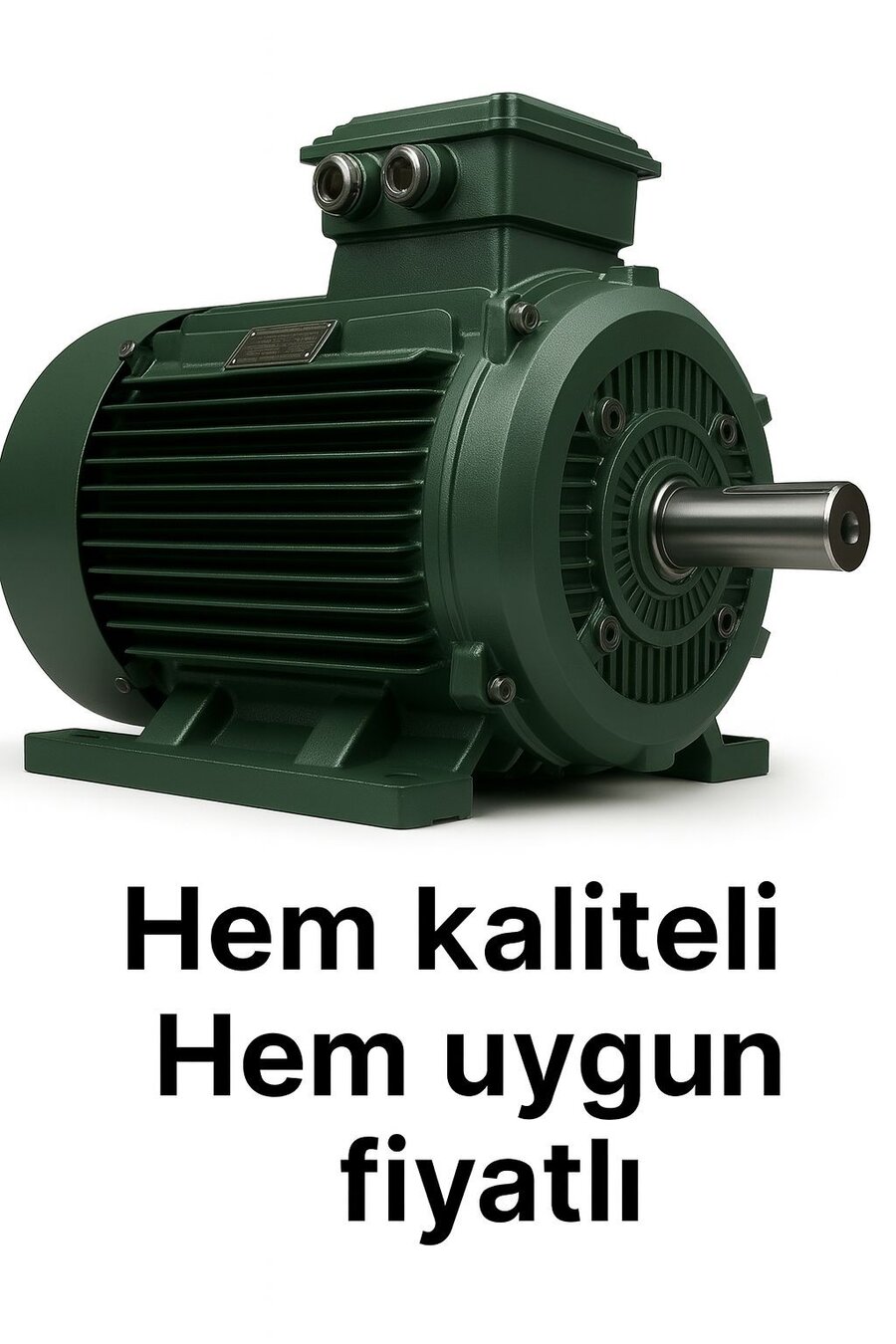 Ordu Elektrik Motoru