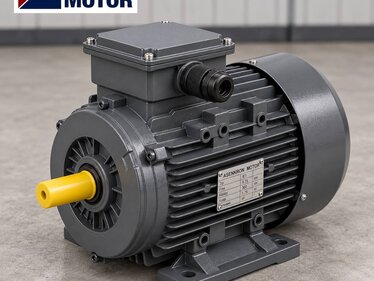 Elektrik Motorlarında Pik Döküm Gövde Farkı