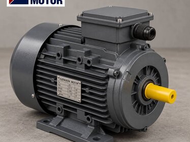 Prix d'un moteur IE3 – Moteurs à Carcasse Fonte