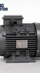 Cast Iron Electric Motor