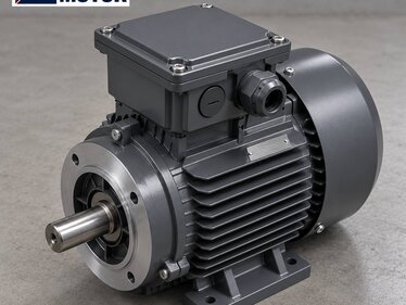 Moteur IE3 à haut rendement et longue durée de vie
