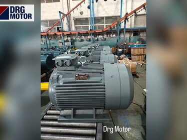 2900 RPM Electric Motor Prices: Rated Speed and Use of 2-Pole Motors