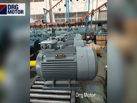 2900 RPM Electric Motor Prices: Rated Speed and Use of 2-Pole Motors