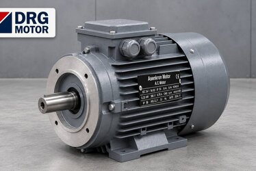 Electric Motor Sellers and Pricing Policies