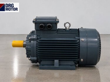 Choisir un moteur électrique triphasé pour pétrin à spirale