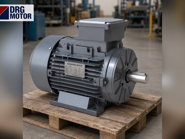 10 HP 3000 RPM Motor Price: DRG-132S2-2 Technical Data and Applications