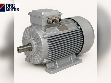 Prix moteur électrique 20 ch : modèles 15 kW en fonte et choix