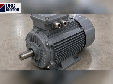 20 HP 1500 rpm Motor Price: DRG-160L-4 Technical Data and Dimensions