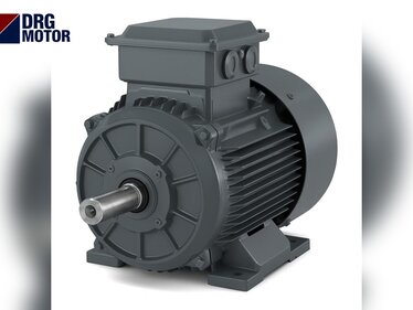 7.5 HP Electric Motor Price: Standard and Compact 5.5 kW Motor Options