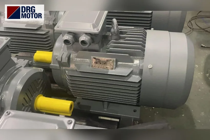 Kablo soyma makinesi için DRG logolu gri trifaze elektrik motoru