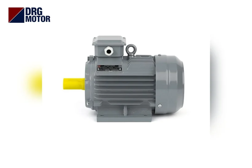 Grey DRG-branded three-phase electric motor for a rice polishing machine