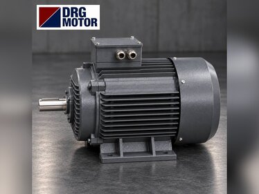 Which Three-Phase Motor Should You Buy for a 220 V Input Inverter?