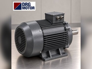 Süt ve Gıda Transfer Pompası İçin Elektrik Motoru Seçimi