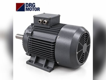 Choosing an Electric Motor for an Oil Press and Oil Expeller Machine