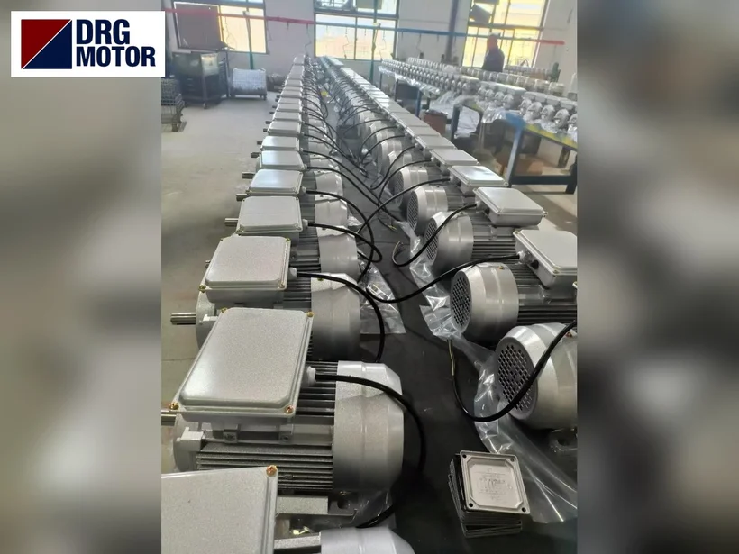 DRG MOTOR four-pole three-phase electric motor for a conveyor drive DRG MOTOR four-pole three-phase electric motor for a conveyor drive