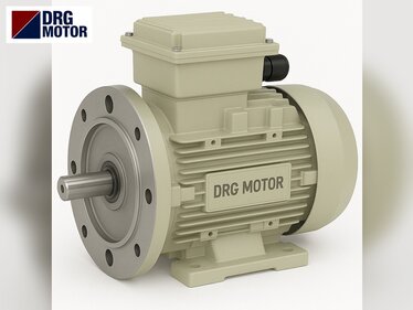 Spindle Moulder Electric Motors for Woodworking