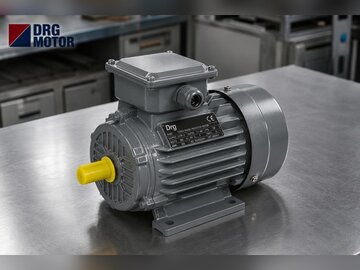 Multi-Rip Saw and Timber Resaw Machine Electric Motors