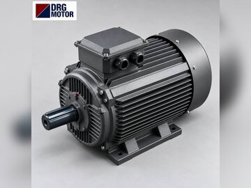 Vertical Shaft Impact Crusher (VSI) Motor