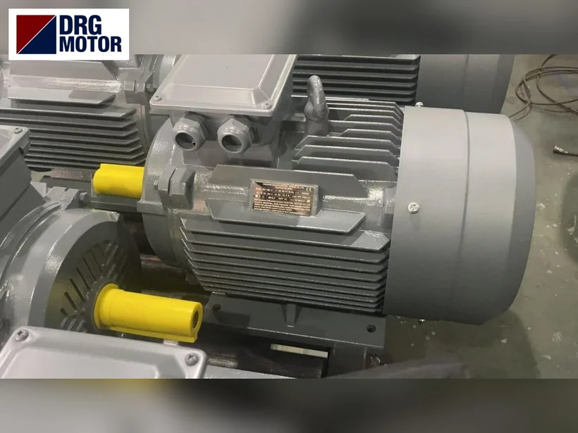 DRG MOTOR cast-iron three-phase electric motor for belt-driven spindles DRG MOTOR cast-iron three-phase electric motor for belt-driven spindles