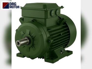 Crushing Roll Machine Electric Motors