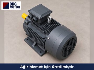 Grain Sieving and Cleaning Machine Electric Motors Grain Sieving and Cleaning Machine Electric Motors