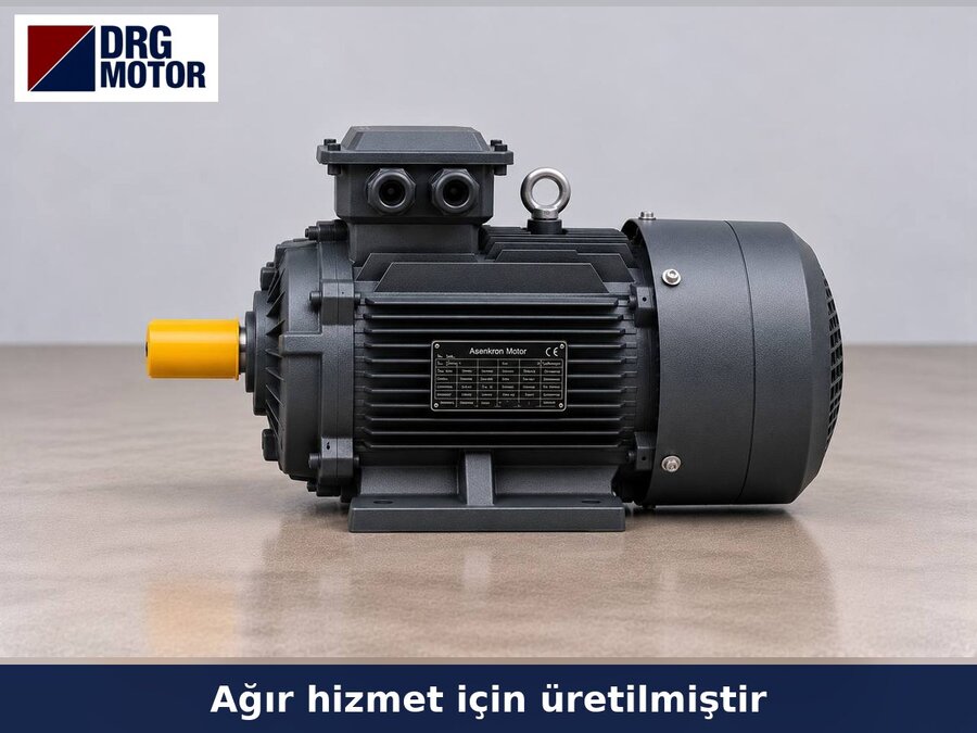 Food Machine Motors