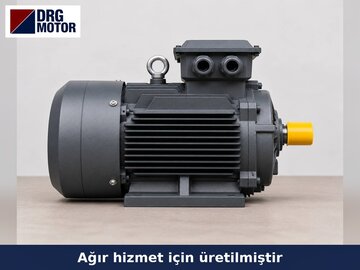 Crate and Pallet Washer Electric Motors Crate and Pallet Washer Electric Motors