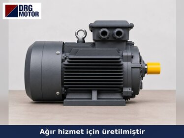Crate and Pallet Washer Electric Motors