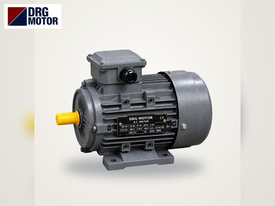 Poultry Automatic Feeding System Electric Motors Poultry Automatic Feeding System Electric Motors