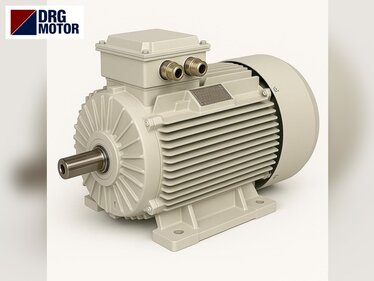 Potato Peeling Machine Electric Motors