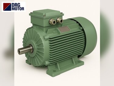 Planetary Mixer and Dough Mixer Electric Motors