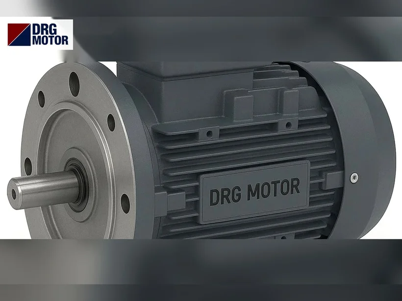 DRG large-flange induction motor for an industrial planetary gearbox