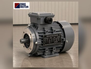 Electric Motors for Worm Gearboxes