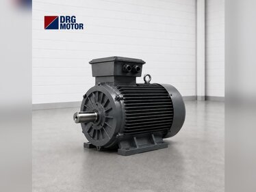 Brick, Roof Tile and Ceramic Line Conveyor Electric Motors