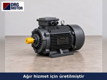 Vacuum Pump Electric Motors