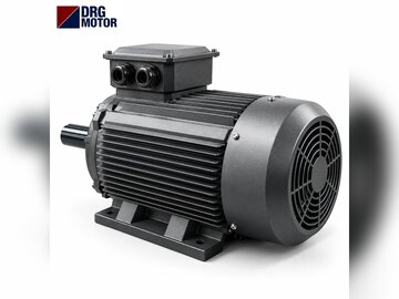 Roll Crusher Motor