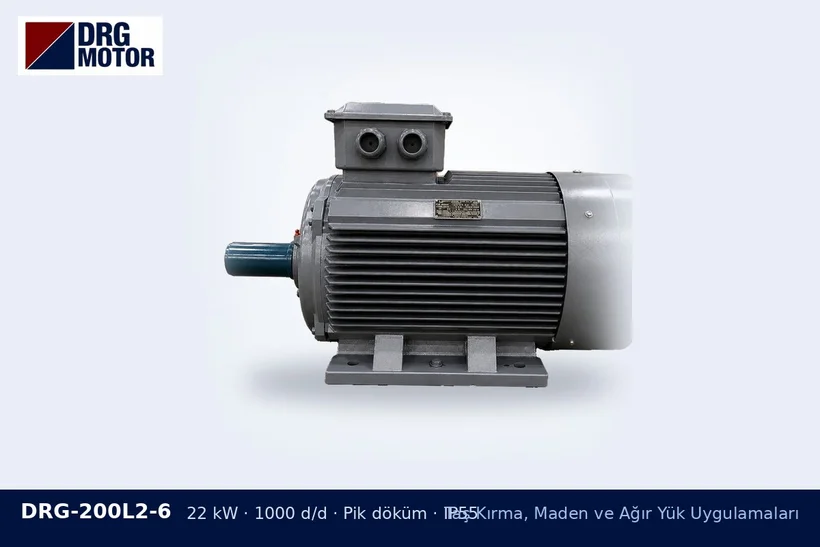 DRG-200L2-6 22 kW 1000 d/d pik döküm gövdeli DRG trifaze motor – ağır kalkış 4 kutuplu motor