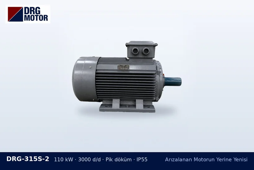 DRG-315S-2 110 kW 3000 d/d pik döküm gövdeli DRG trifaze motor – motor onarım kararı