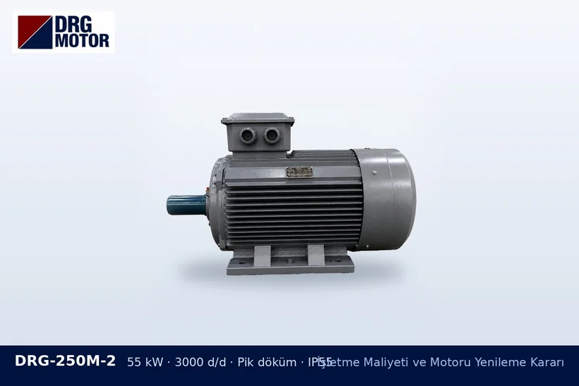 DRG-250M-2 55 kW 3000 d/d pik döküm gövdeli DRG trifaze motor – duruş maliyeti ve motor kararı