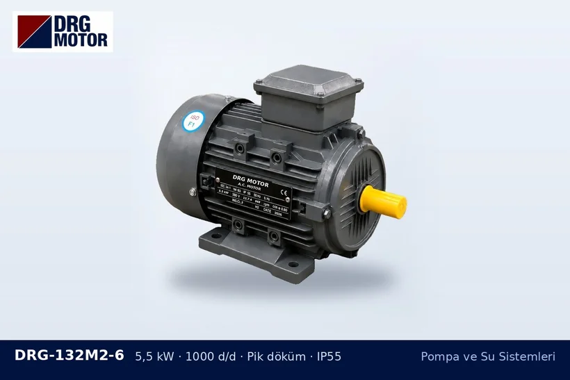 DRG-132M2-6 – Pompa ve Su Sistemleri DRG-132M2-6 5,5 kW 1000 d/d pik döküm gövdeli DRG trifaze motor – atık su pompası motor seçimi