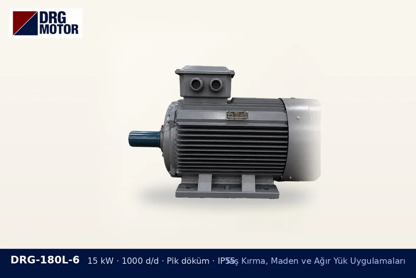 DRG-180L-6 15 kW 1000 d/d pik döküm gövdeli DRG trifaze motor – beton santrali mikser motoru