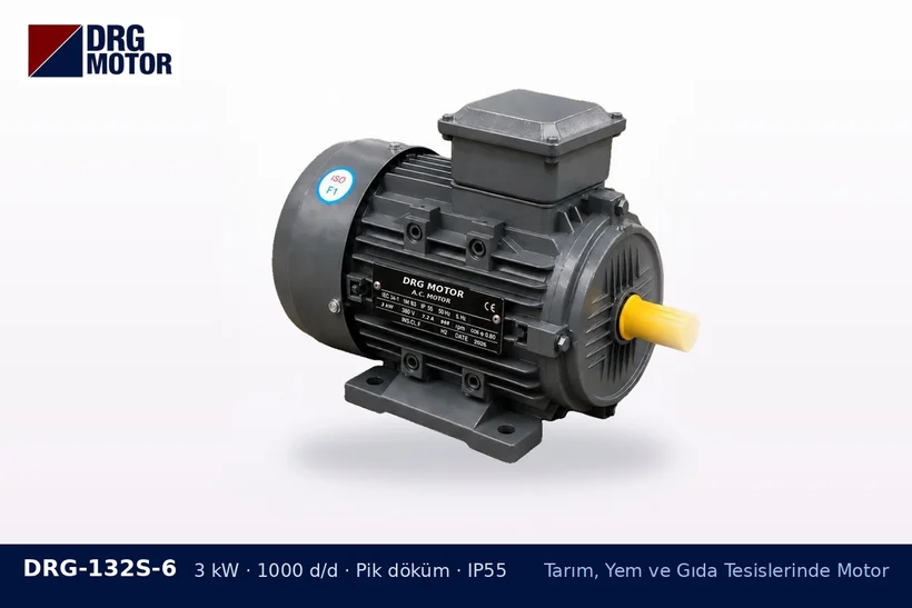 DRG-132S-6 3 kW 1000 d/d pik döküm gövdeli DRG trifaze motor – çeltik işleme makinesi motoru