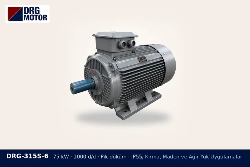 DRG-315S-6 75 kW 1000 d/d pik döküm gövdeli DRG trifaze motor – çeneli kırıcı motor seçimi