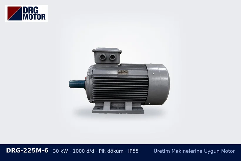 DRG-225M-6 30 kW 1000 d/d pik döküm gövdeli DRG trifaze motor – parçalayıcı motor seçimi sıkışma
