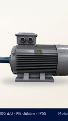 Hem ayaklı hem flanşlı bağlanan makinede motor tipi nasıl belirlenir?