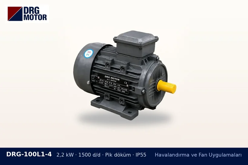 DRG-100L1-4 2,2 kW 1500 d/d pik döküm gövdeli DRG trifaze motor – otopark fanı motor değişimi