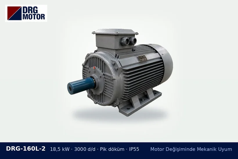 DRG-160L-2 18,5 kW 3000 d/d pik döküm gövdeli DRG trifaze motor – kayışlı tahrikte farklı gövde boyu